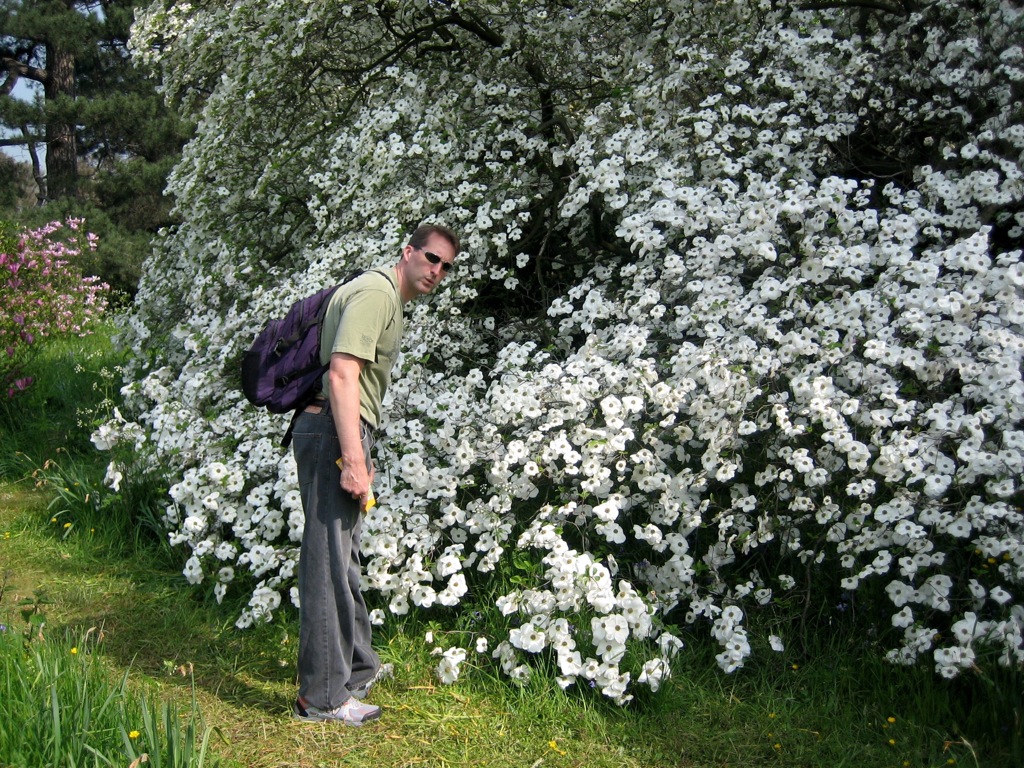 Dogwood at Kew Gardens - Voof!/