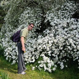 Dogwood at Kew Gardens - Voof!/
		    