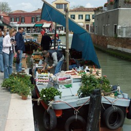 Farmer's market/
		    