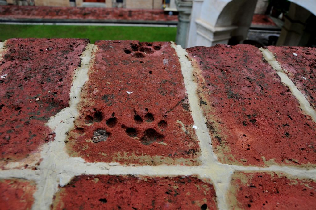 400 year old paw prints in the brick!/