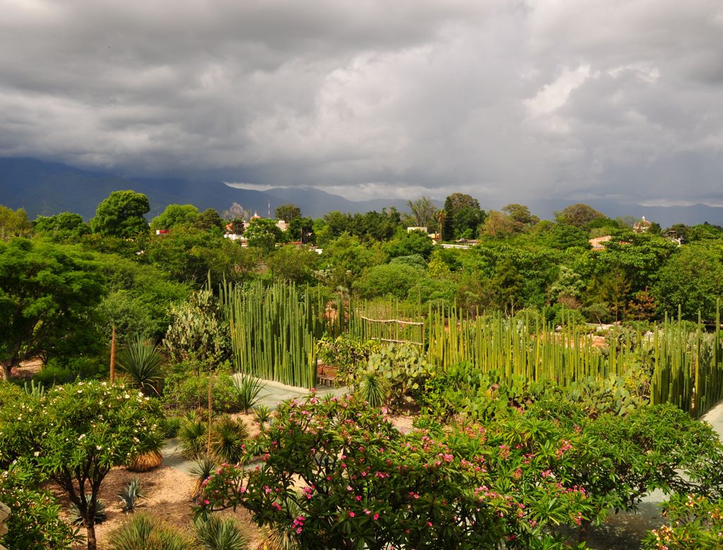 The view from the museum /