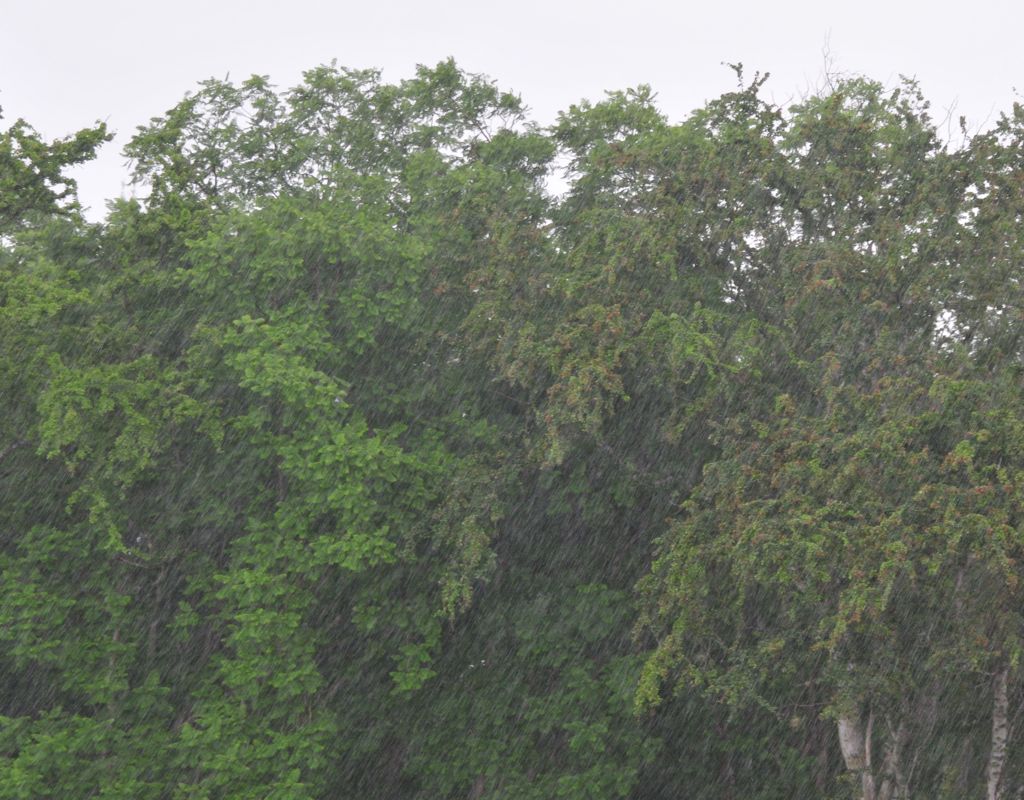 And the next thing we know it is absolutely pouring! Hello monsoon!/