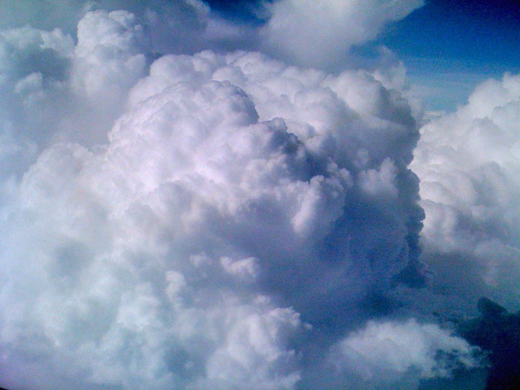 The plane played obstacle course with them/