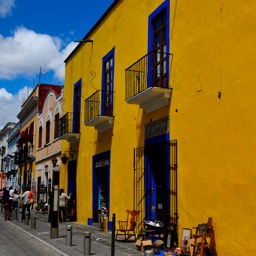 Callejón de los Sapos (Alley of the toads!)/
		    