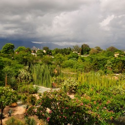 The view from the museum /
		    