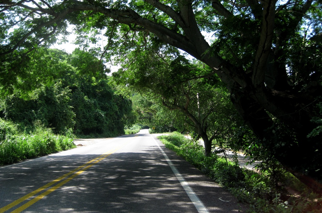Road to Sayulita/