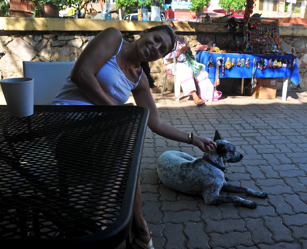 Yes, another dog Assana has to pet/