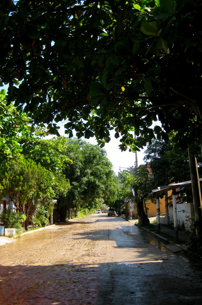 San Francisco's cobble stoned roads/
