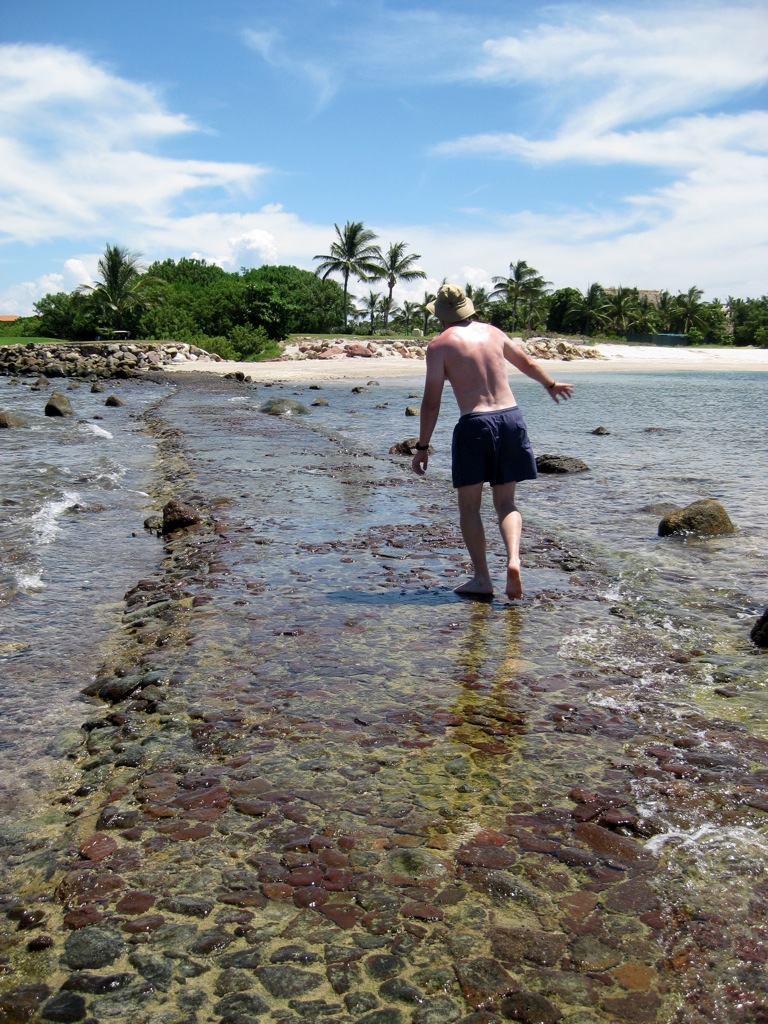 Walking back to the mainland/