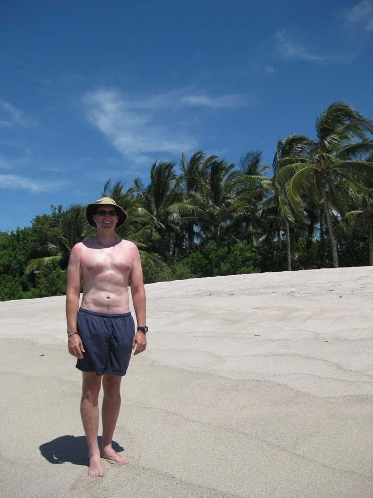 Nothing but sand and palms/