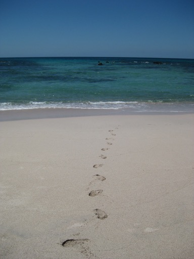 The beach