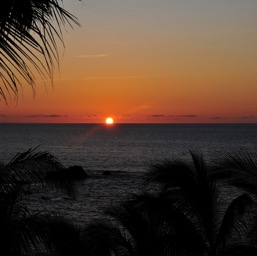 Sunset from our patio/
		    