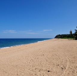 Another fabulously empty beach/
		    