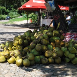 Coconut store/
		    