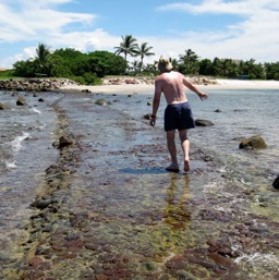 Walking back to the mainland/
		    