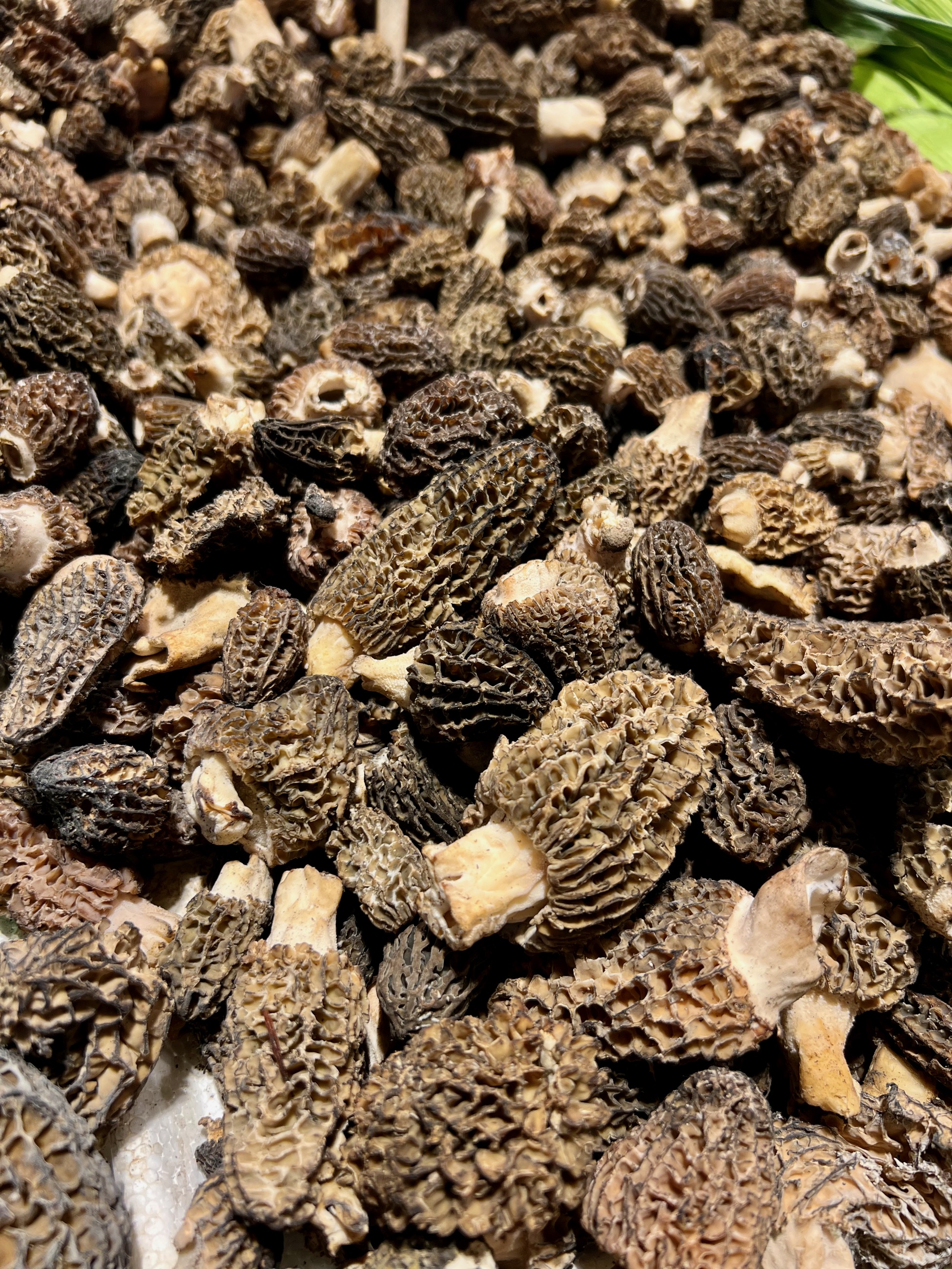 Mmmm... yummy mushrooms/