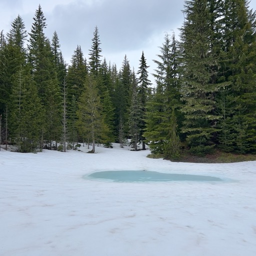 Alpine "lake" on the worst ridge trail ever/
		    