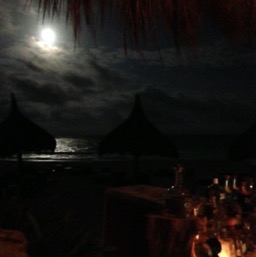Drinks at Freddie's again/
		    