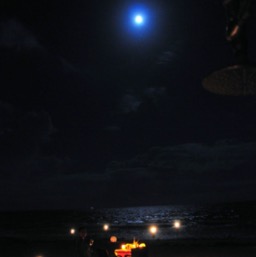 And soon the moon is back/
		    