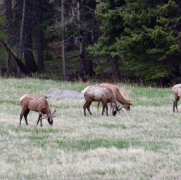 rockyMountain023/
		    