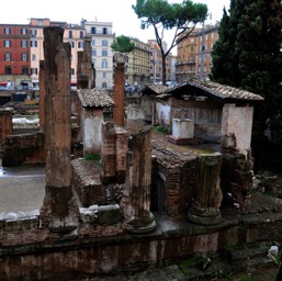 Largo Argentina, where Julius Caesar was stabbed/
		    