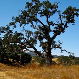 Santa Margarita Ranch/
		    