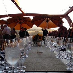 Anthony giving his winemaker speach/
		    