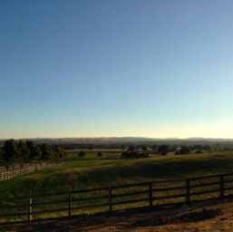 Winfall Farms/
		    