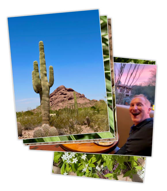 Conjugal Trip