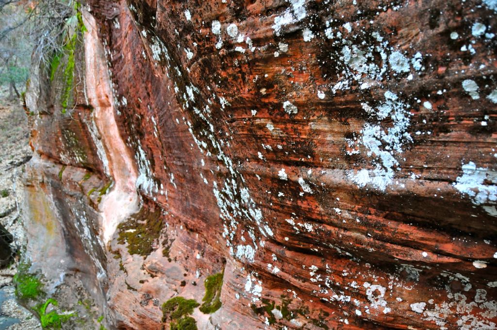 More funky stuff on rocks/