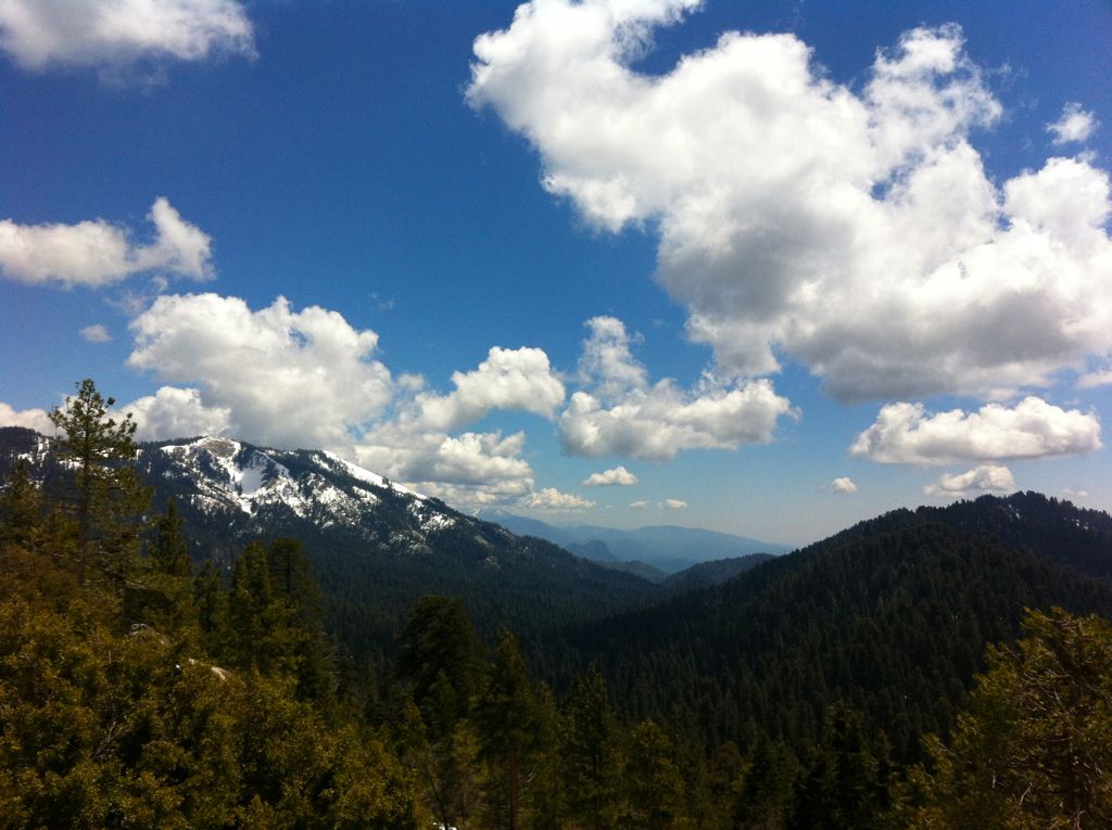 Looking into the canyon/