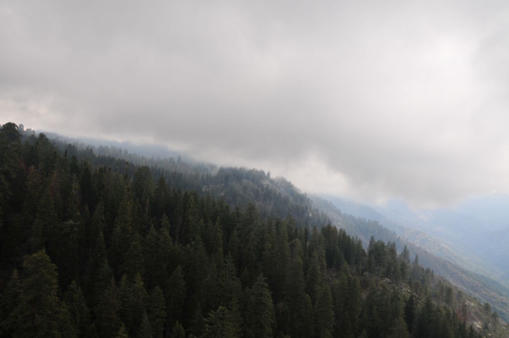 The view into the valley on the way up/