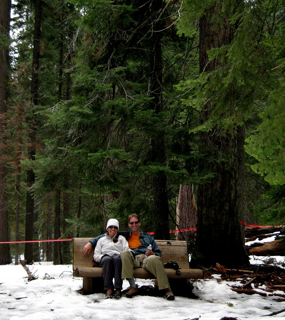 Illegally sitting on the bench by The President/