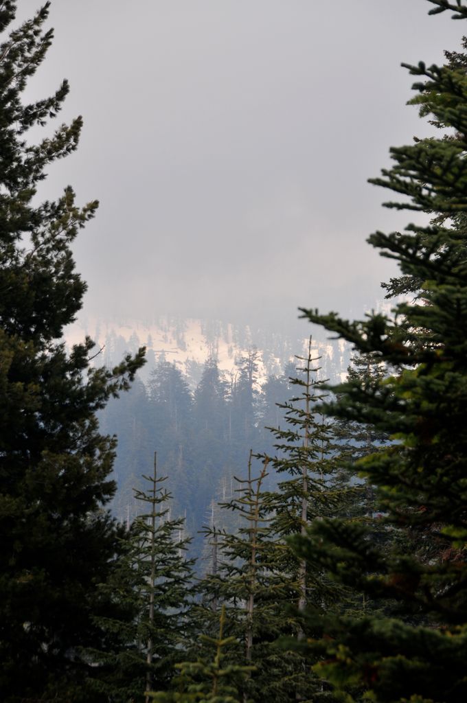 The view out of our room window/