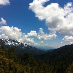 Looking into the canyon/
		    