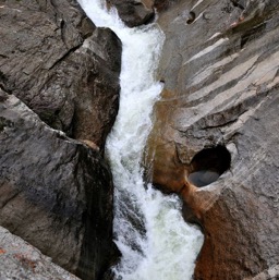 Looking down into the river/
		    