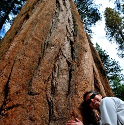 Tree hugger! /
		    