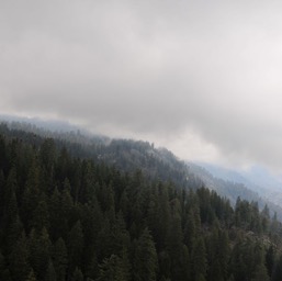 The view into the valley on the way up/
		    