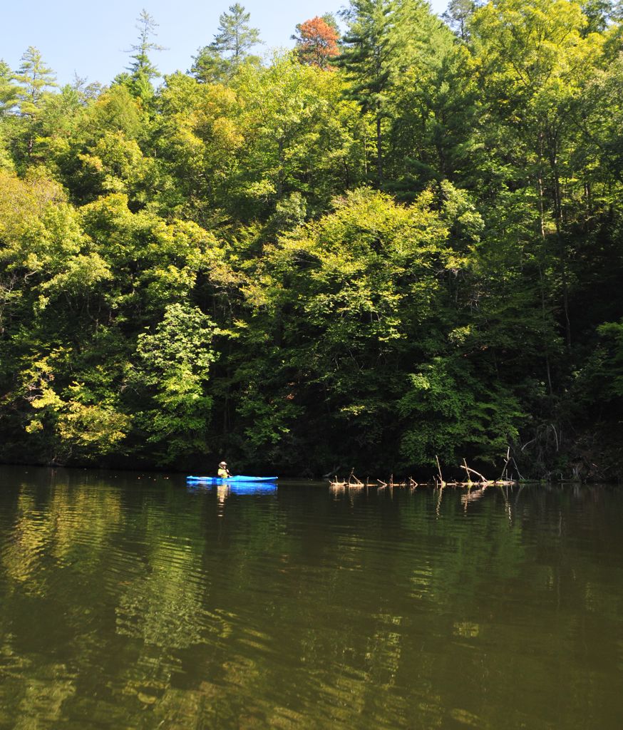 And where Dan had to go to take the shot/