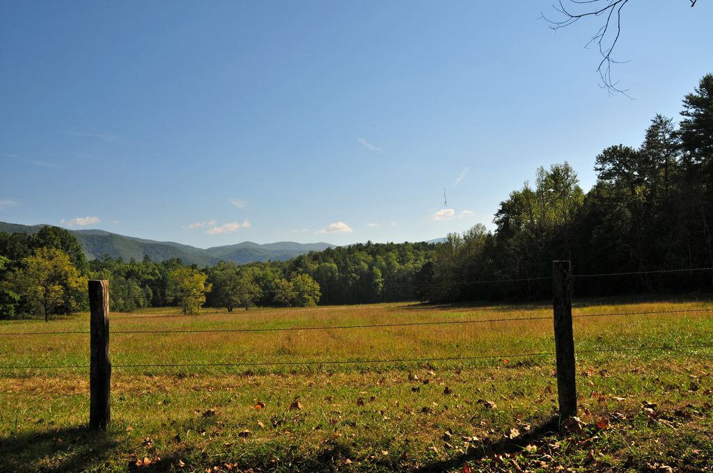 Cades Cove Loop Road/