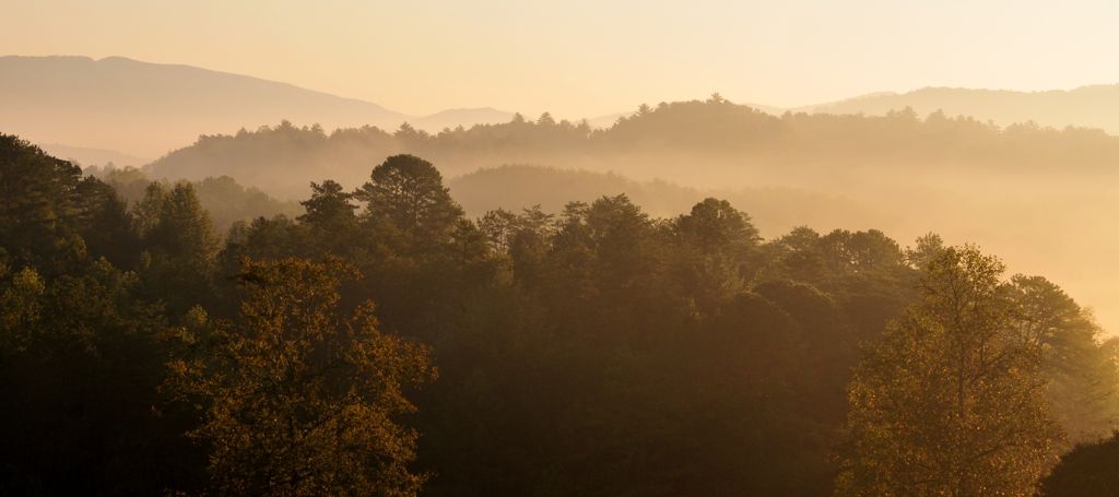 Another gorgeous sunrise/