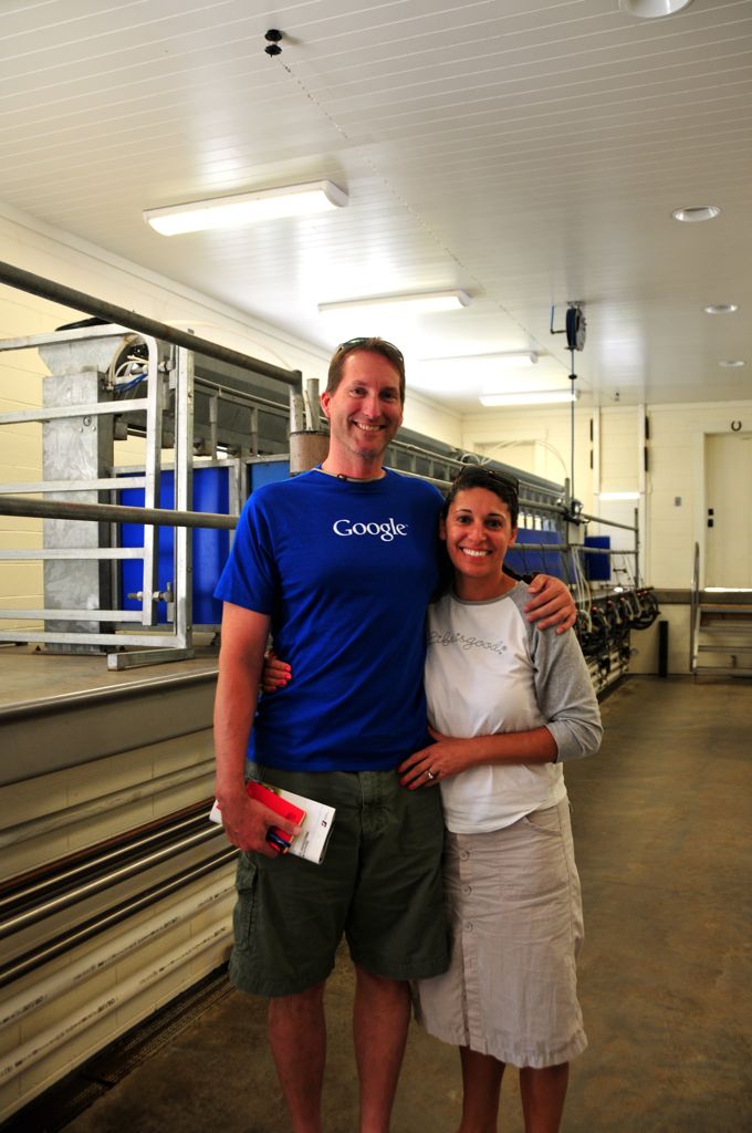 Where sheep get milked/