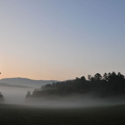 Crazy low fog/
		    