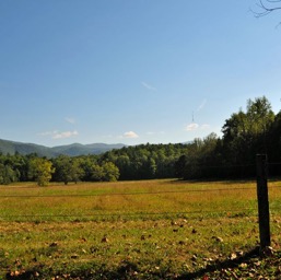 Cades Cove Loop Road/
		    