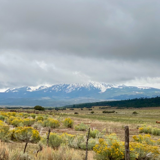 Las Sal Mountains in the background... they always keep their snow cap/
		    