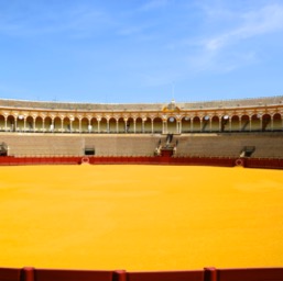 Plaza de Toros de la Maestranza/
		    