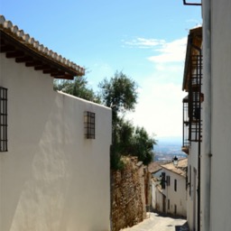 Streets of Albaicín/
		    