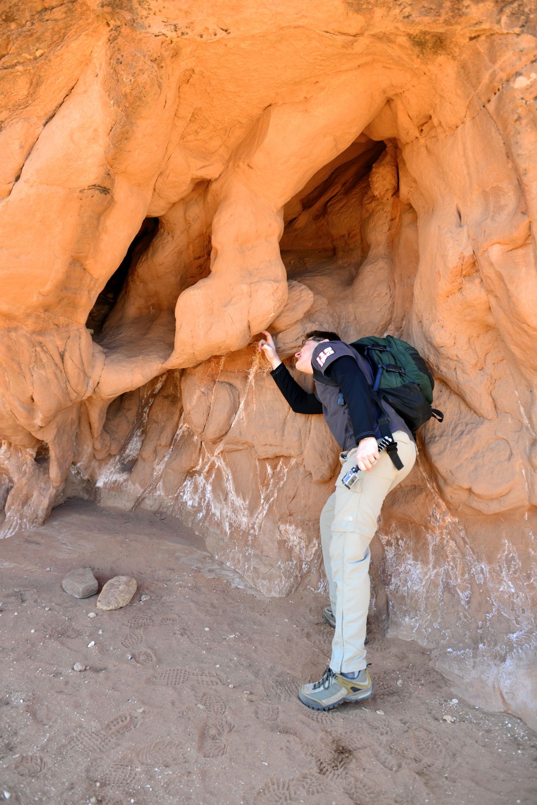 Yup... we picked on its nose!/