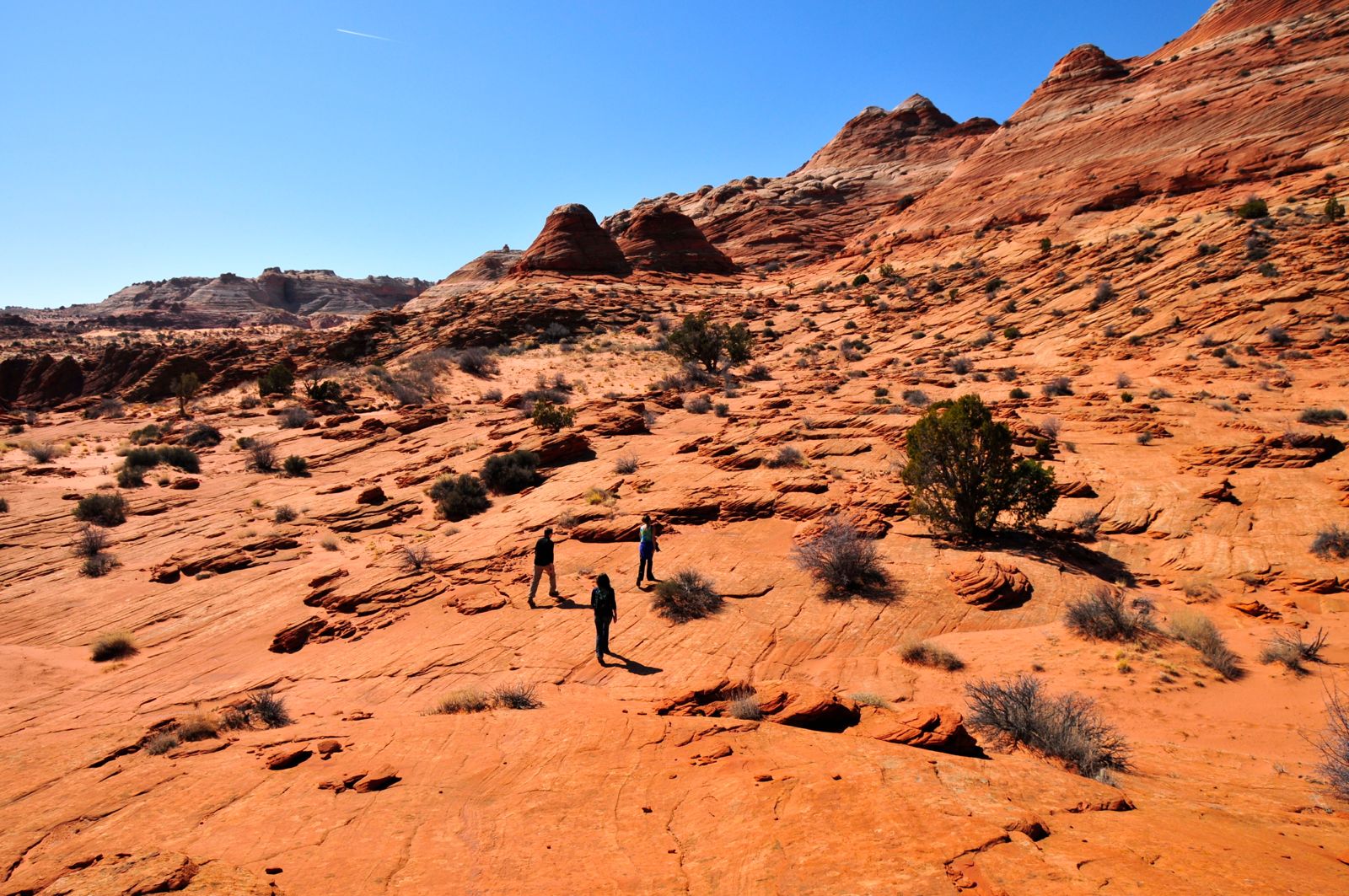 Trail? Not so much!/