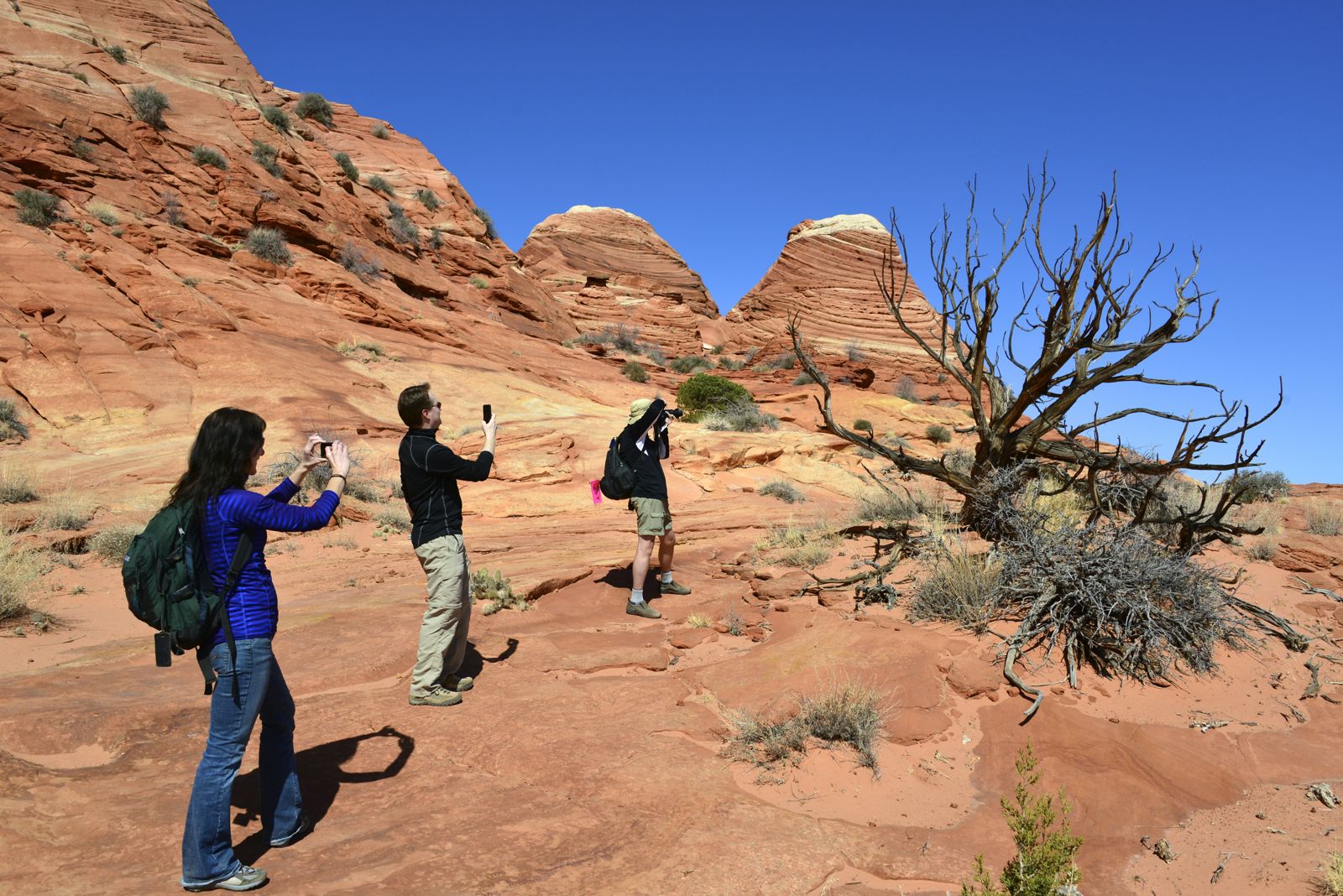 Clearly Assana doesn't quite get it/